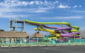 Royal Palm Court B5